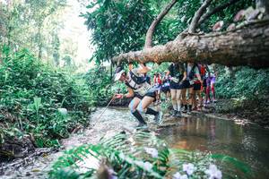 BIB: 
                            <button type="button" onclick="openModal(25449710)" class="btn btn-primary btn-sm float-right btn-popup" data-toggle="modal" data-target=".modal-high-quality">
                        <i class="fas fa-shopping-cart"></i> Add to Cart
                    </button>
                                            <button type="button" onclick="isThisMe(25449710, true)" class="btn btn-success btn-sm float-right btn-popup btn-isme hidden" data-toggle="tooltip" data-placement="bottom" title="นี่คือรูปของคุณใช่ไหม คลิกที่นี่เพื่อเอาเข้าอัลบั้ม">
                        <i class="fas fa-plus"></i> Add to album
                    </button>
                    <button type="button" onclick="isThisMe(25449710, false)" class="btn btn-warning btn-sm float-right btn-popup btn-isnotme hidden">
                        <i class="fas fa-ban"></i> Remove from album
                    </button>